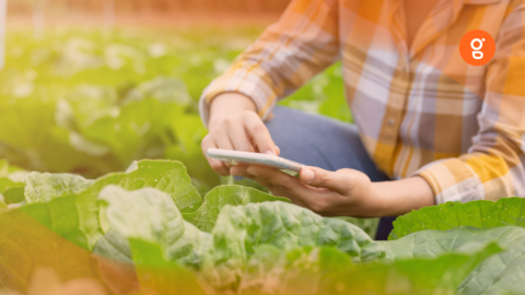 Informations obligatoires du registre phytosanitaire