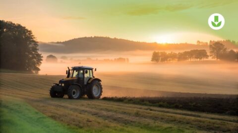 Feuille de route chauffeur ETA