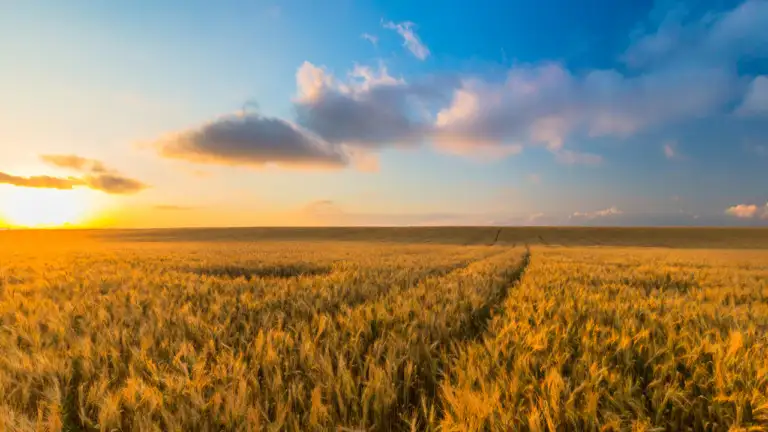 Exploitants agricoles