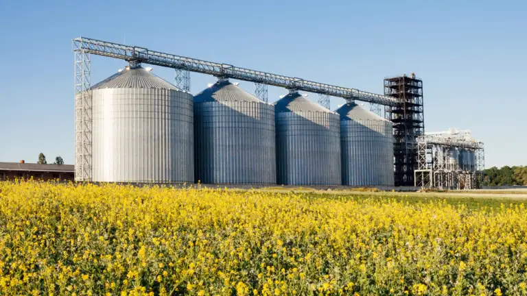 agreo : logiciel pour la traçabilité de l’agroalimentaire